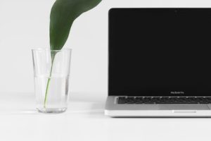 新疆国环投资管理有限公司与刑辉乌鲁木齐国华新誉农业技术咨询有限公司新疆生产建设兵团第十三师红星一场民事判决书